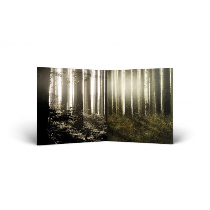 Waldgeflüster - DAHOAM Doppel-LP - Black Vinyl - Schallplatte Record